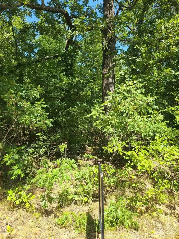 Jeffery Drive, Cookson, OK 74427 - #1