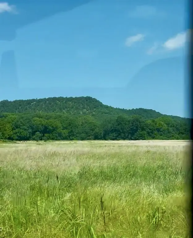 #3