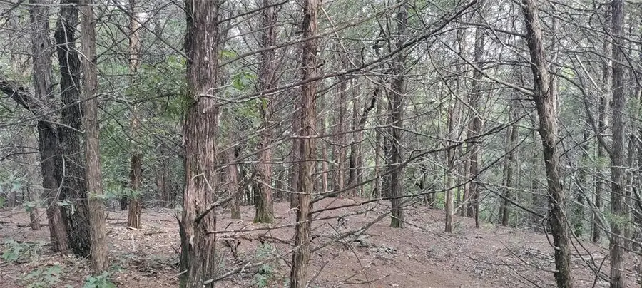 #3
