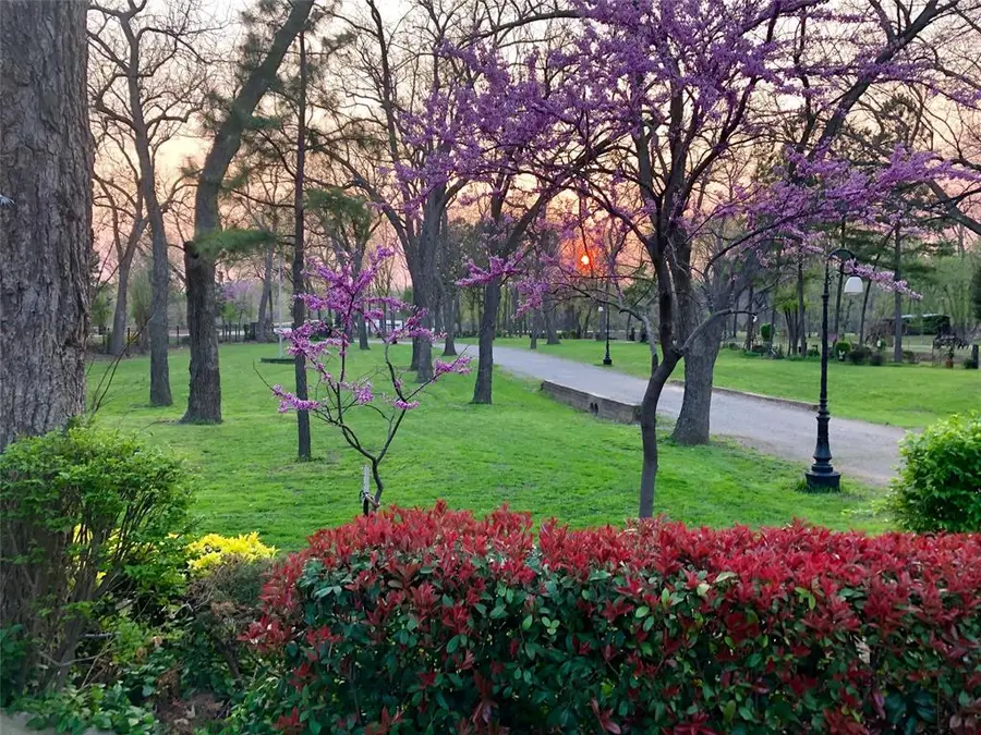 21461 E Apache Street, Catoosa, OK 74015 - Image #3