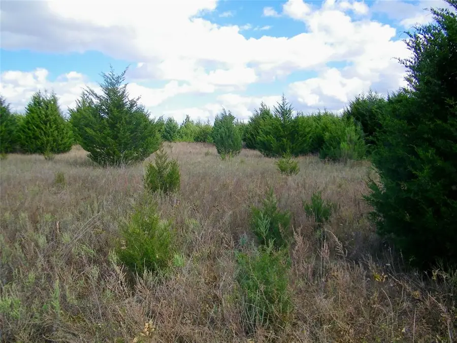 00 E 1020 Road, Prague, OK 74864 - Image #3