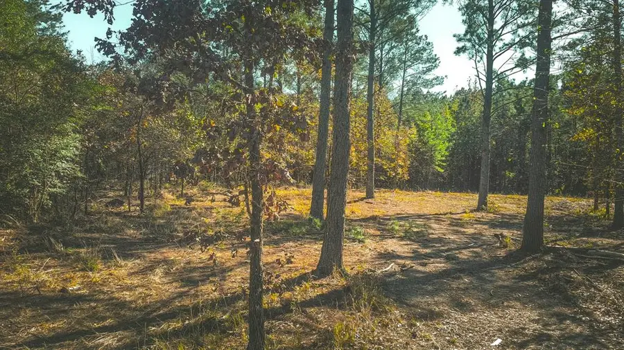 956 Cress Road, Broken Bow, OK 74728 - Image #2