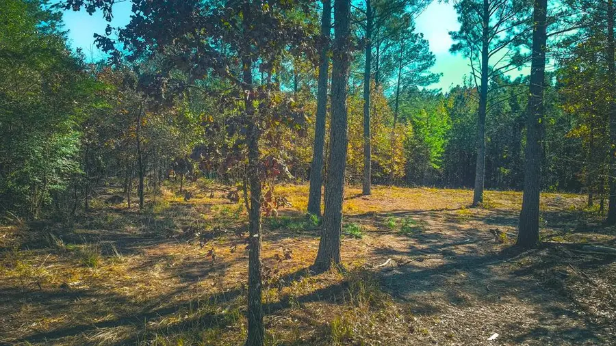 956 Cress Road, Broken Bow, OK 74728 - Image #3