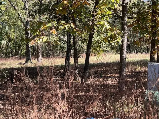 136 Deer Valley Circle, Broken Bow, OK 74728 - Image #2