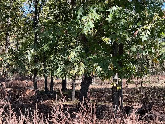 136 Deer Valley Circle, Broken Bow, OK 74728 - Image #3