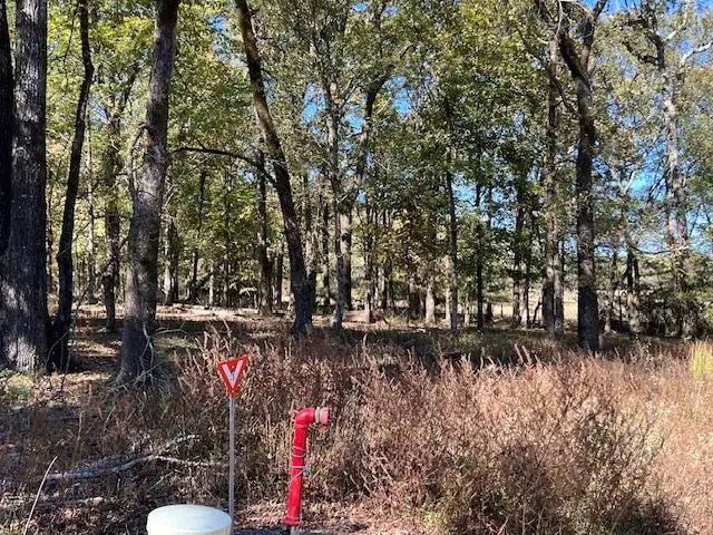 197 Deer Valley Circle, Broken Bow, OK 74728 - Image #3