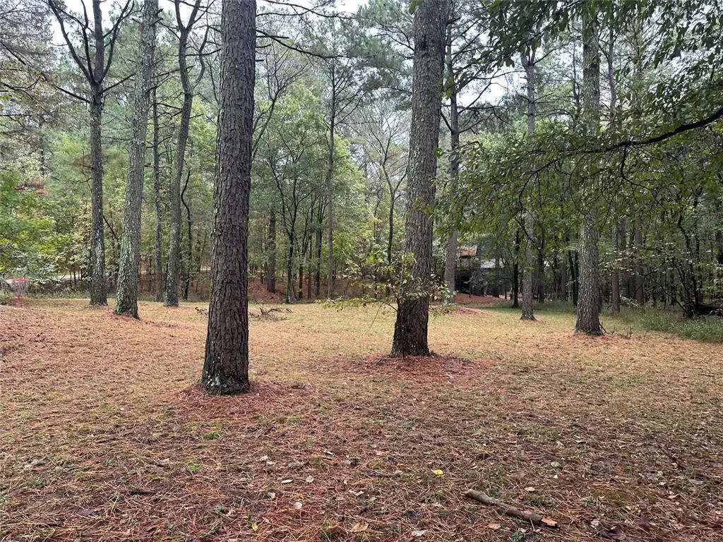 Lot 27, Hochatown, OK 74728 - Image #1