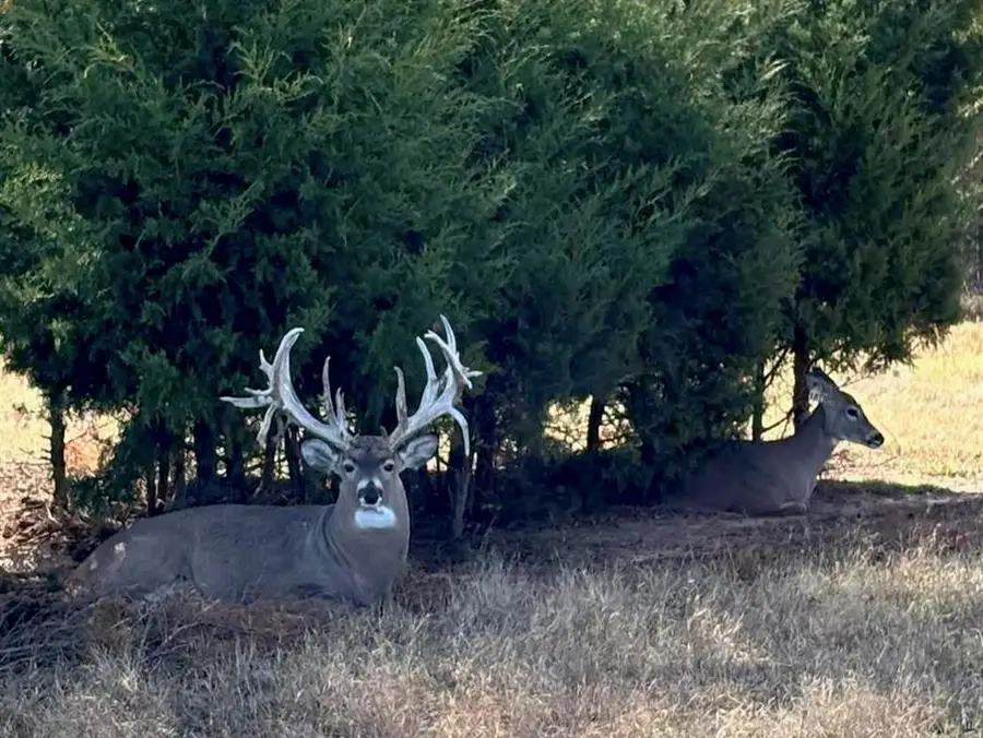 368145 E 980 Road, Boley, OK 74829 - Image #2