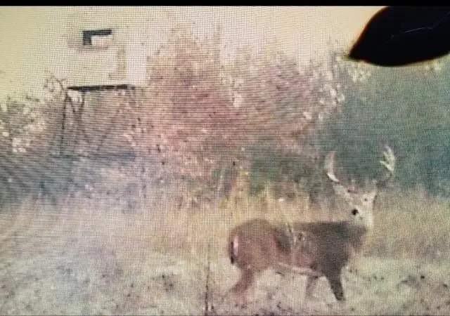 7314 E 136 Road, Holdenville, OK 74848 - Image #3