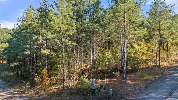 24 Cedar Tree Trail, Broken Bow, OK 74728