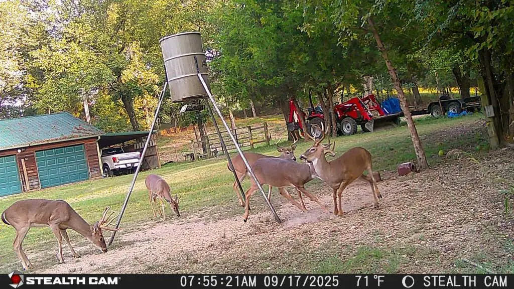 435562 E 1630th Road, Tuskahoma, OK 74574 - Image #1