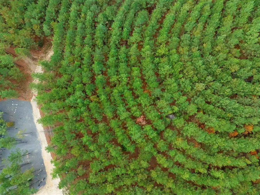 295 Hochapine Trail, Broken Bow, OK 74728 - Image #2