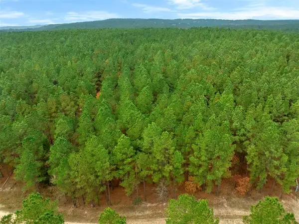 17 Hochacedar Trail, Broken Bow, OK 74728