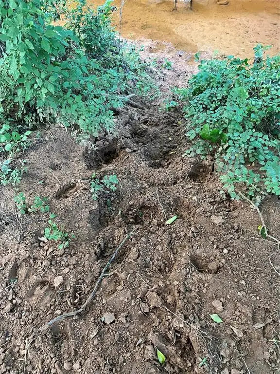 40 Acres Mol North Highway 74 And Cr 69, Crescent, OK 73028 - Image #2