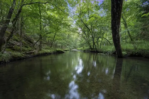 493 Timber Creek Trail, Broken Bow, OK 74728