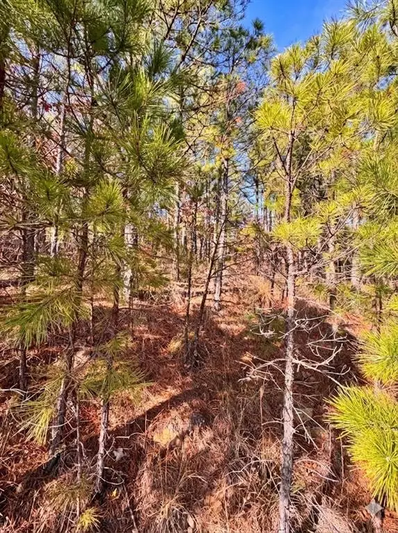 2388 SW 234th Road, Tuskahoma, OK 74574 - Image #2