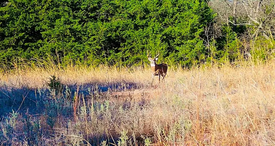 0000 N Harrah Road #Lot 9, Luther, OK 73054 - Image #3