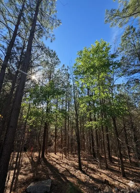 3 Sugarberry Trail, Broken Bow, OK 74728 - Image #3