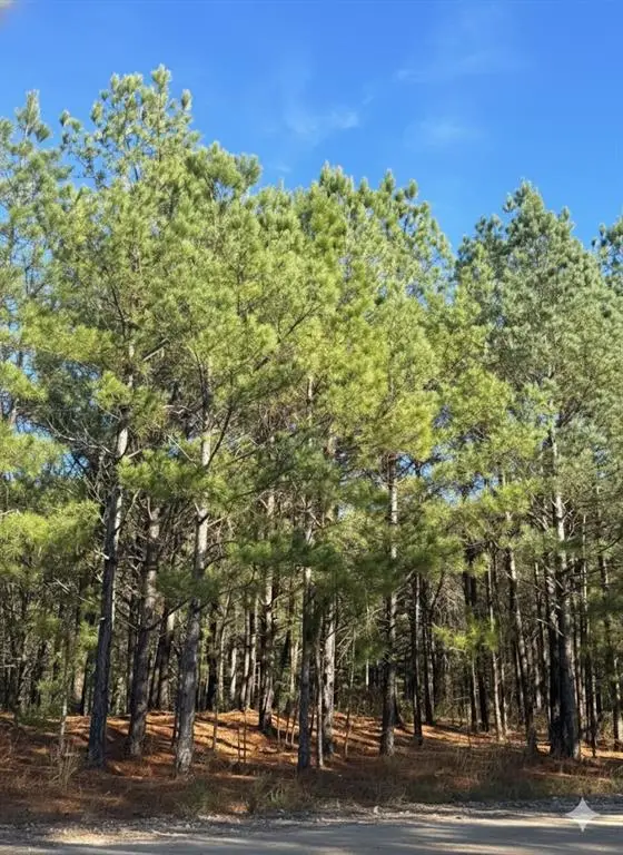 6 Sugarberry Trail, Broken Bow, OK 74728