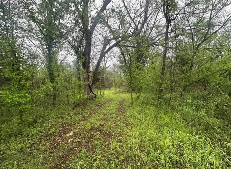 00 Okay S 40 Acres Road, Tecumseh, OK 74873 - Image #2