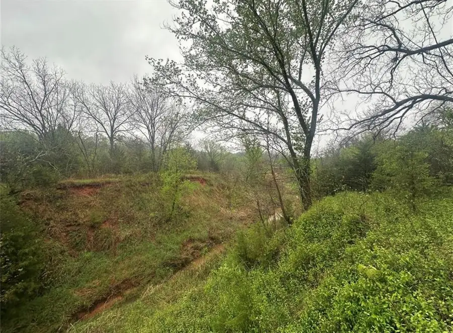 00 Okay S 40 Acres Road, Tecumseh, OK 74873 - Image #3