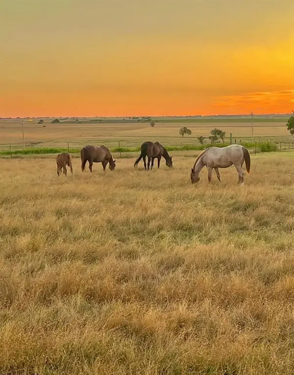 03 E County Road, Blair, OK 73526