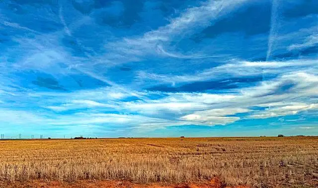 Address Withheld By Seller, Erick, OK 73645 - Image #2