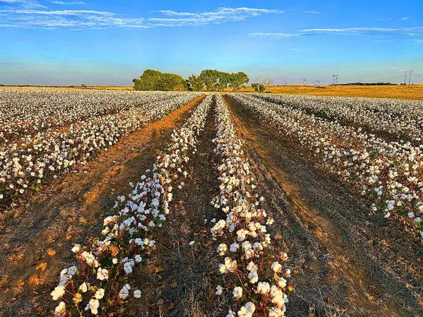 N 1690/e 1250 Road, Erick, OK 73645