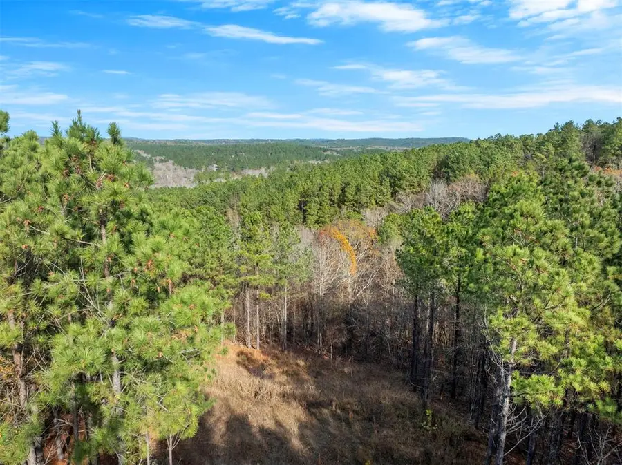 164 Timber Holler Trail #Lot 504, Broken Bow, OK 74728 - Image #2