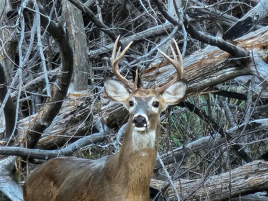 15751 N Western Road, Mulhall, OK 73063 - Image #3