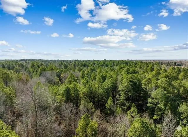 Red Road, Fort Towson, OK 74735 - Image #2