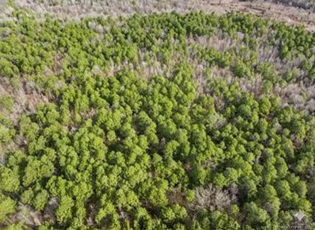 Red Road, Fort Towson, OK 74735 - Image #3