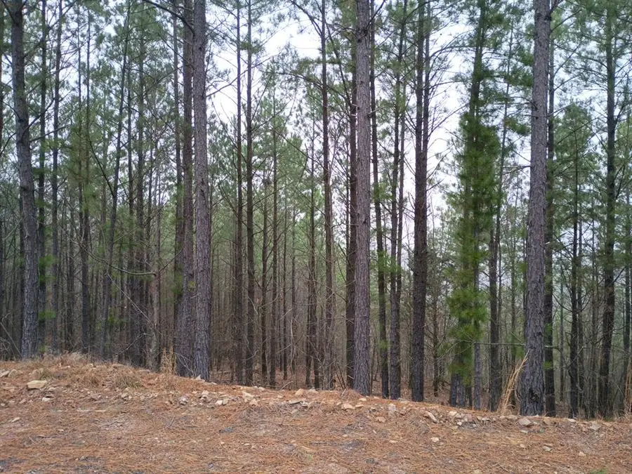 97 Monterey Oak Trail, Broken Bow, OK 74728 - #2