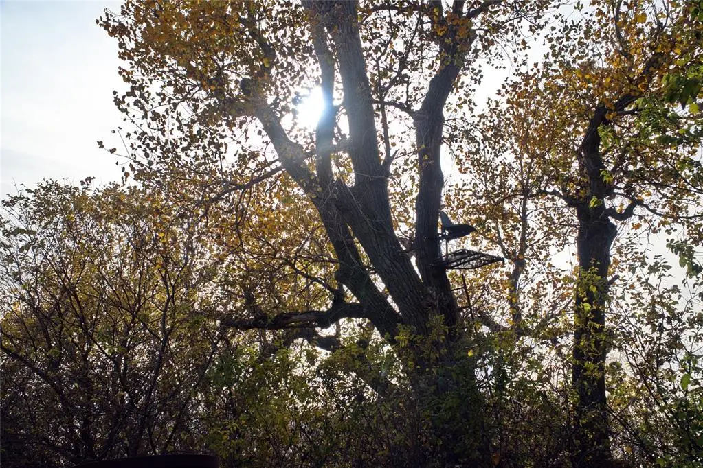 Address Withheld By Seller, Okarche, OK 73762 - Image #1