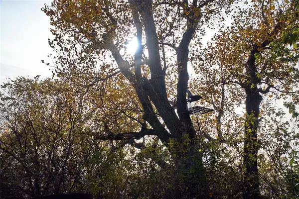 Address Withheld By Seller, Okarche, OK 73762