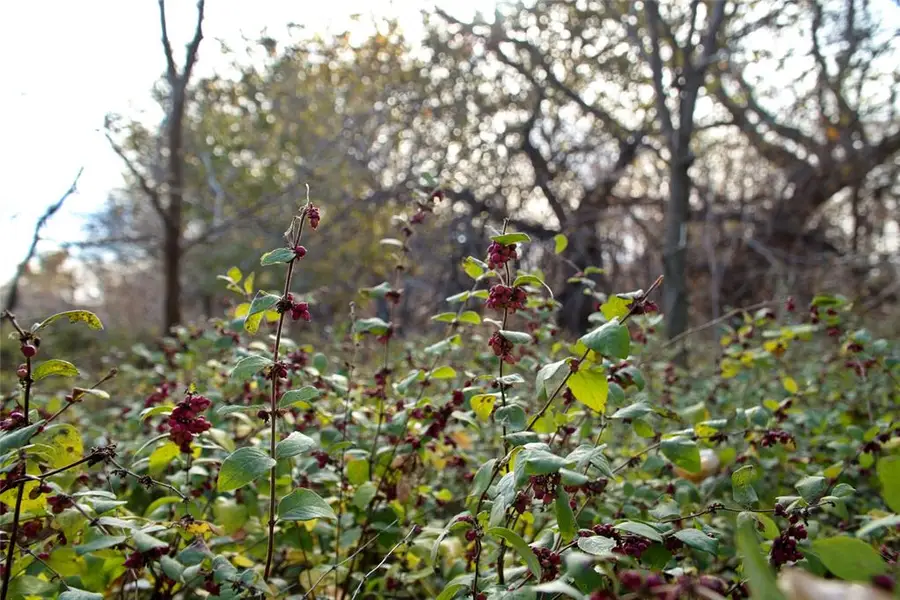 Address Withheld By Seller, Okarche, OK 73762 - Image #3