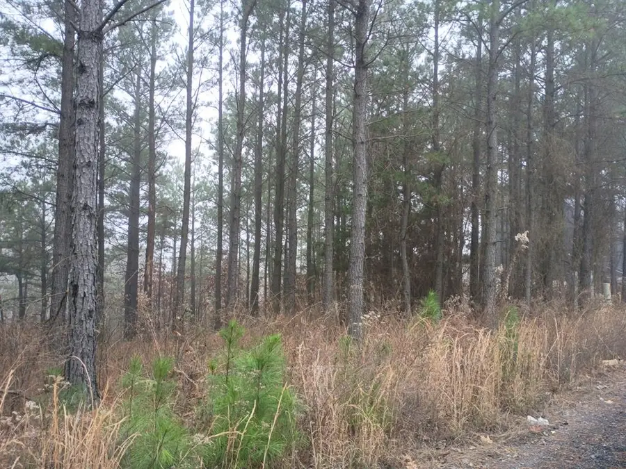 460 Timberline Trail, Broken Bow, OK 74728 - #2