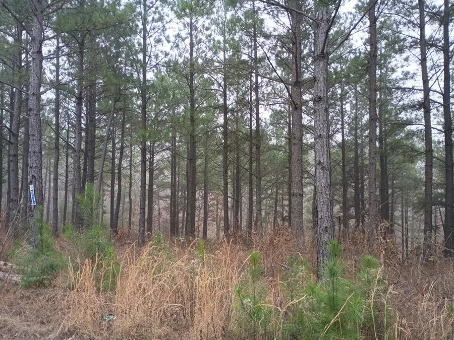 460 Timberline Trail, Broken Bow, OK 74728 - #3