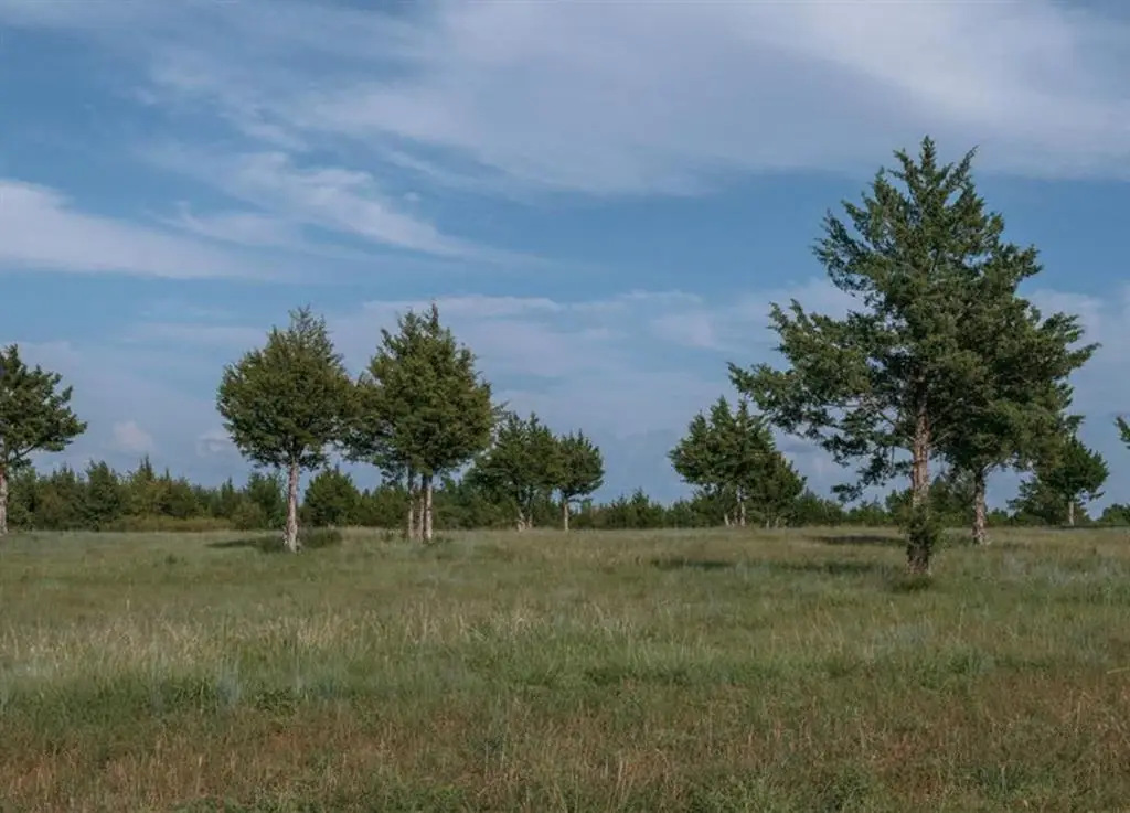 30462 Mesquite Tree Way, Norman, OK 73072 - #1