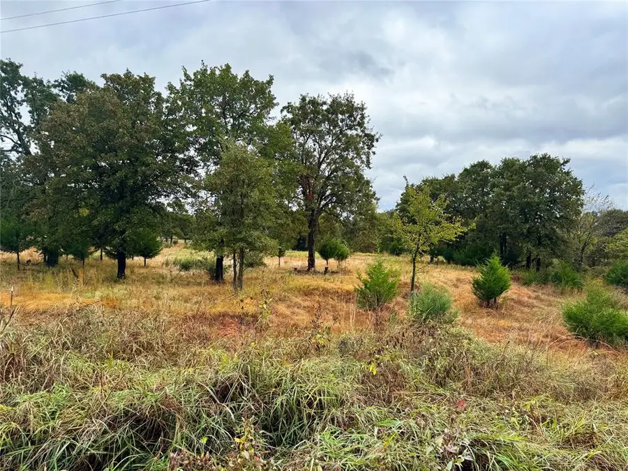 0 177th Street, Lindsay, OK 73052 - Image #3