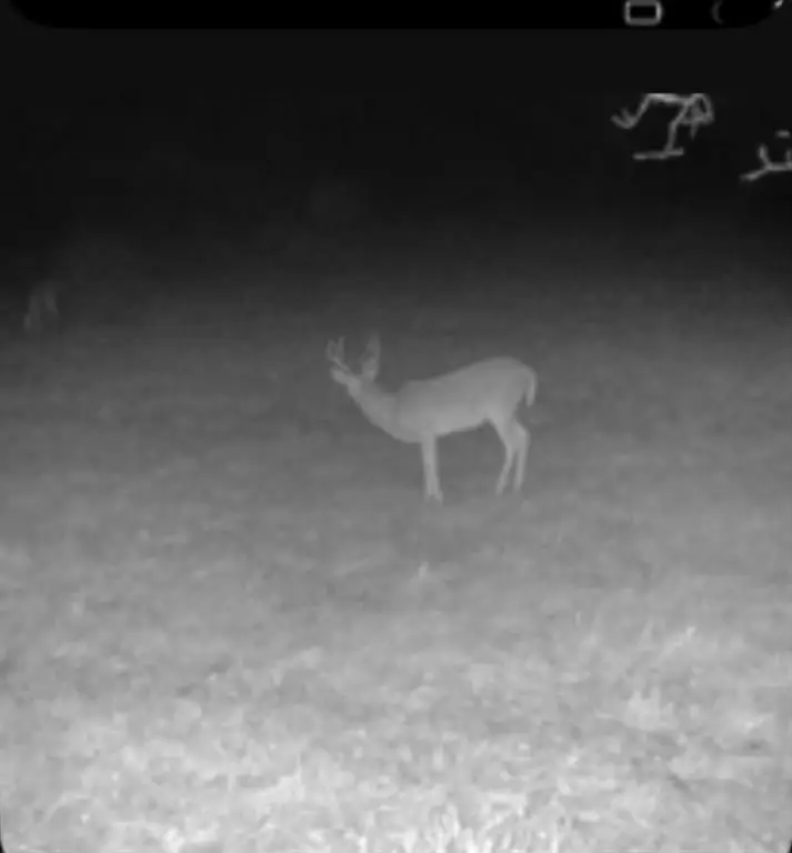 E 1010 Road, Prague, OK 74864 - #3