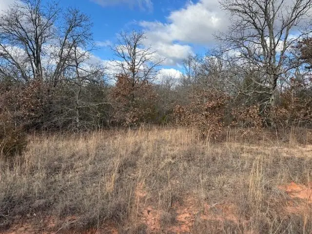 Brandy Lane Lane, Tecumseh, OK 74873 - #3