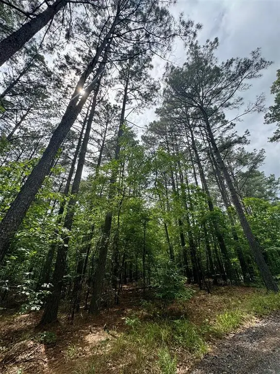 26 Mangrove Road, Broken Bow, OK 74728 - #3