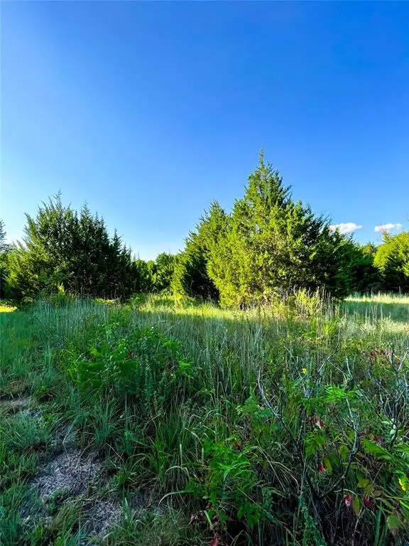 297th Street, Blanchard, OK 73010 - #3