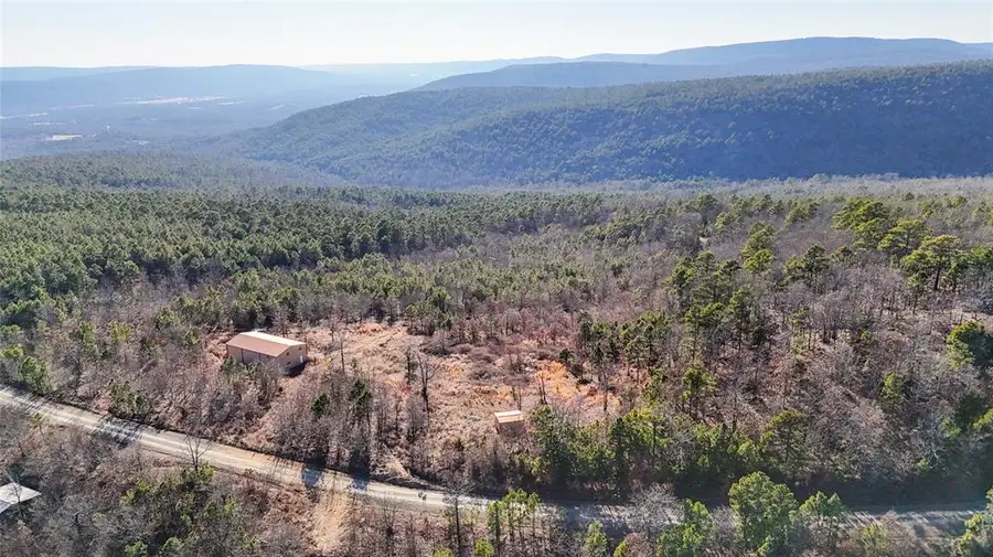 Flag Pole Road, Clayton, OK 74536 - #2