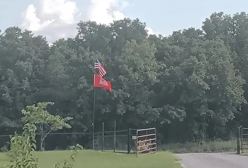 34603 Pinehill Road, Bristow, OK 74010 - #3