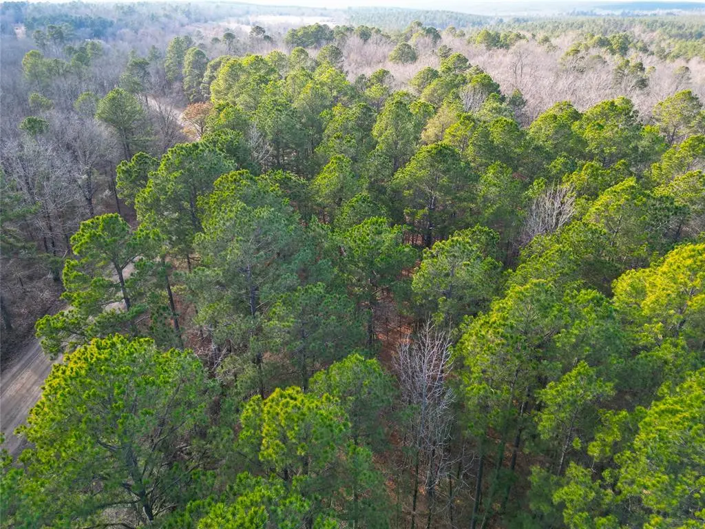 653 Johnny Beavers Trail Road, Broken Bow, OK 74728 - #1