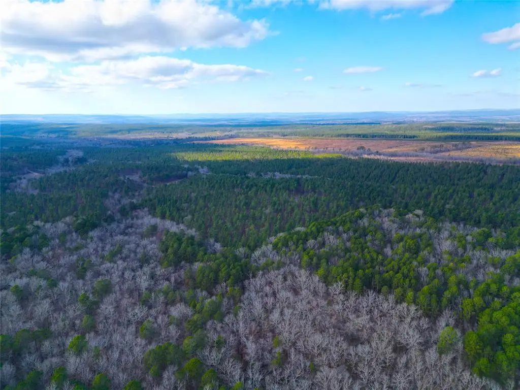 685 Johnny Beavers Trail Road, Broken Bow, OK 74728 - #1