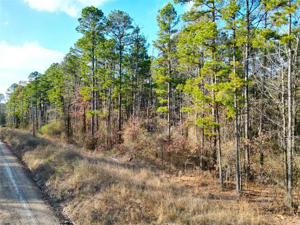 725 Johnny Beavers Trail Road, Broken Bow, OK 74728 - #1