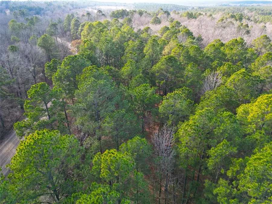 753 Johnny Beavers Trail Road, Broken Bow, OK 74728 - #3